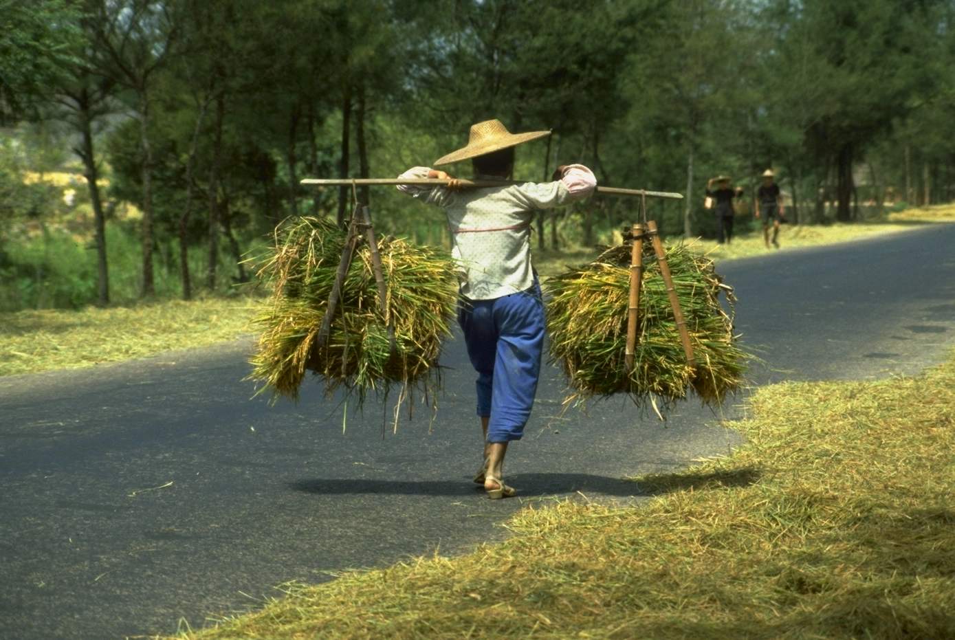 Farmwork.jpg (156490 bytes)